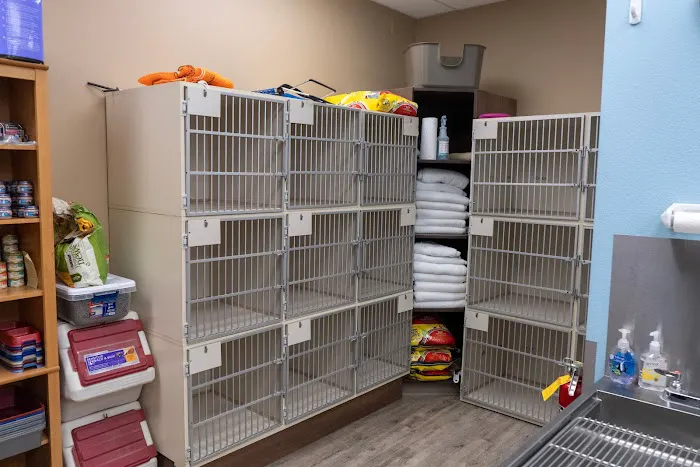Albuquerque Cat Clinic Picture 5