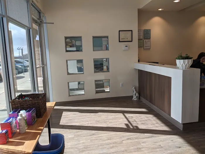 Albuquerque Cat Clinic Picture 7