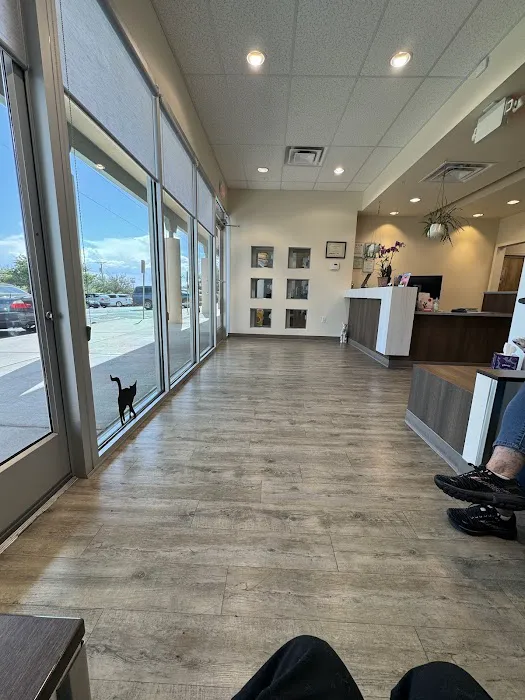 Albuquerque Cat Clinic: Walker Emily DVM Picture 3