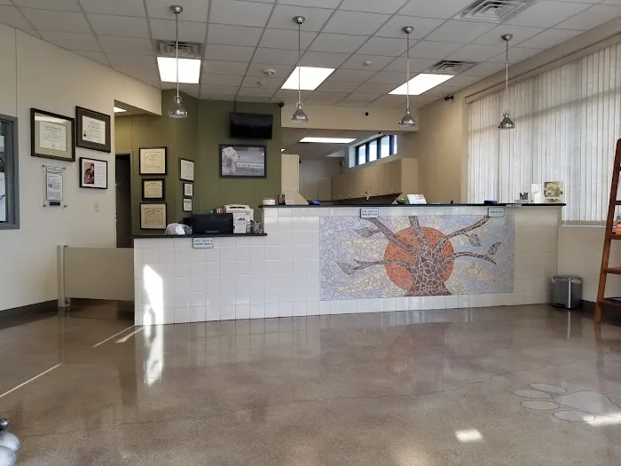 Metro Paws Animal Hospital - Oak Cliff Picture 6