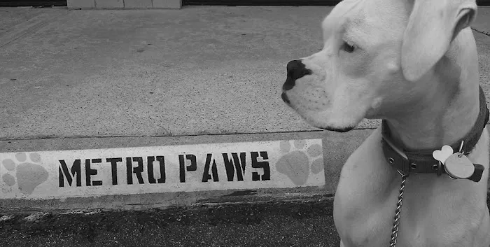 Metro Paws Animal Hospital - Skillman Picture 2