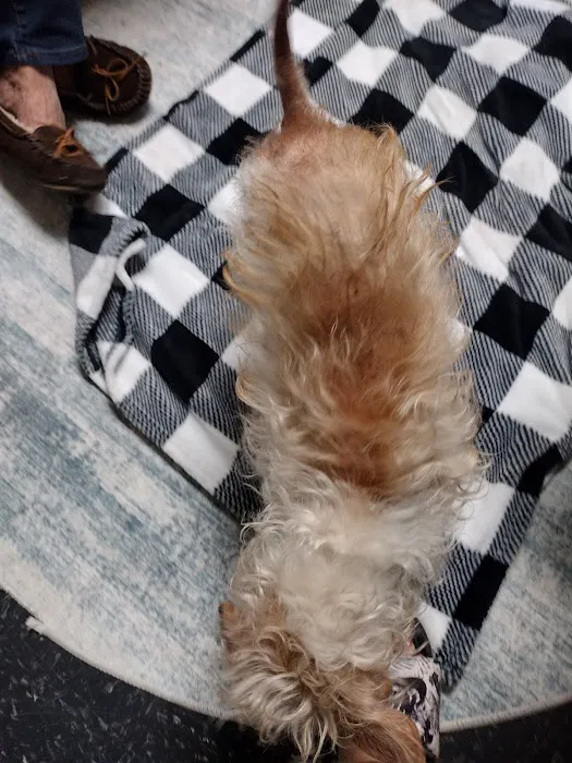 Metro Paws Animal Hospital - Skillman Picture 9