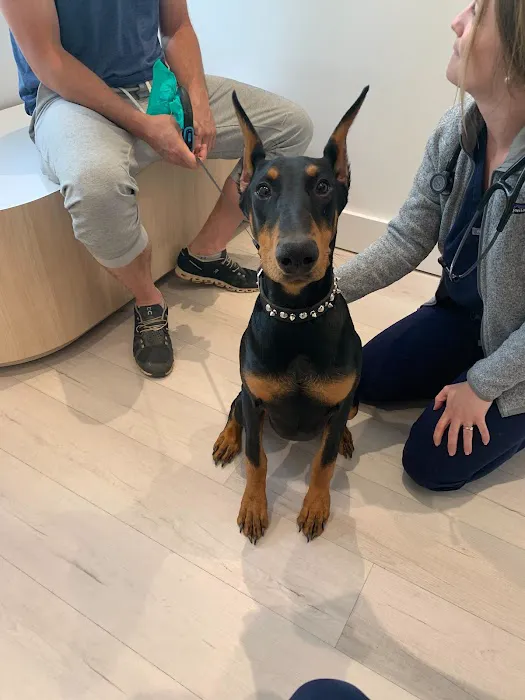 Petfolk Veterinary & Urgent Care - Lakewood Picture 10