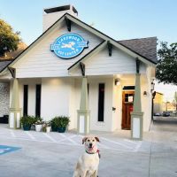 Lakewood Veterinary Center ico