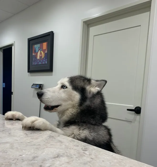 Lakewood Veterinary Center Picture 3