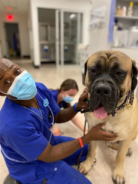Lakewood Veterinary Center Picture 4