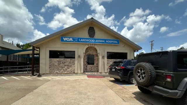 VCA Lakewood Animal Hospital Picture 2