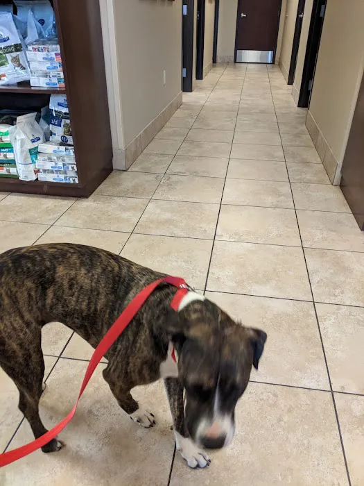 VCA Lakewood Animal Hospital Picture 4