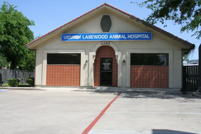 VCA Lakewood Animal Hospital Picture 8