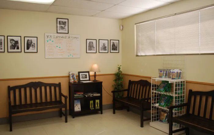 VCA Lakewood Animal Hospital Picture 9