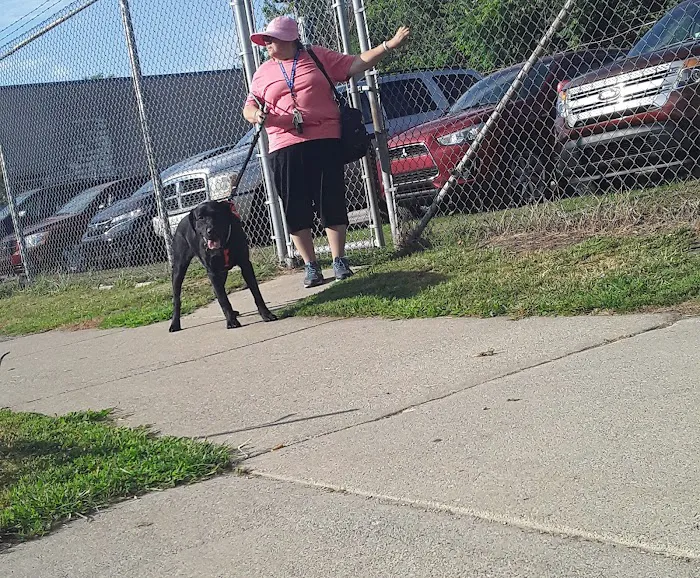 Michigan Anti Cruelty Vet Clinic Picture 1