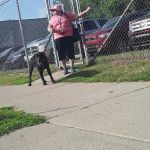 Michigan Anti Cruelty Vet Clinic