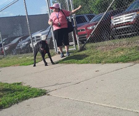 Michigan Anti Cruelty Vet Clinic
