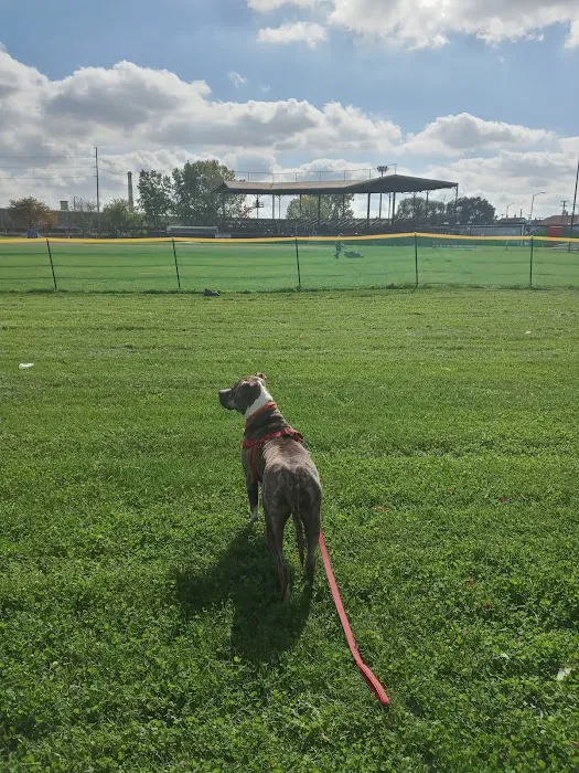 Michigan Anti Cruelty Vet Clinic Picture 3