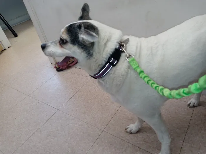 Michigan Anti Cruelty Vet Clinic Picture 5