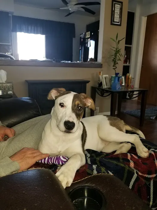 Michigan Anti Cruelty Vet Clinic Picture 7