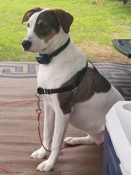 Michigan Anti Cruelty Vet Clinic Picture 10