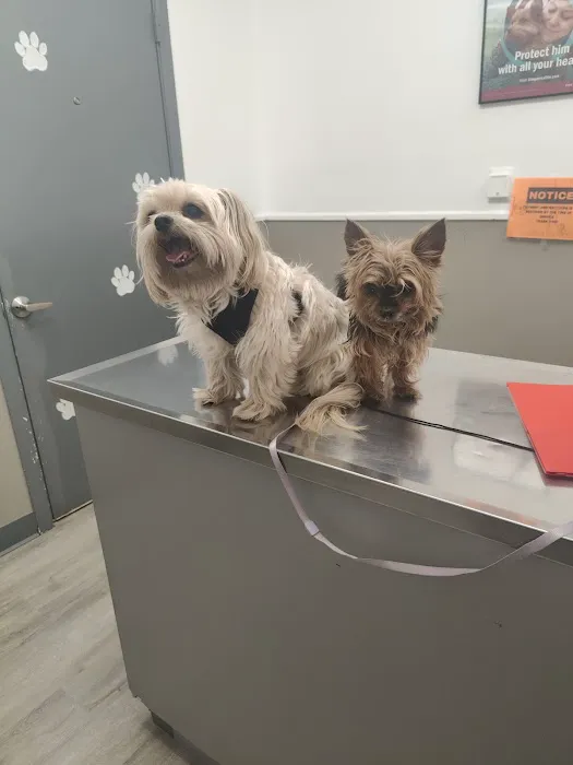 Hurley Dog and Cat Hospital Picture 5