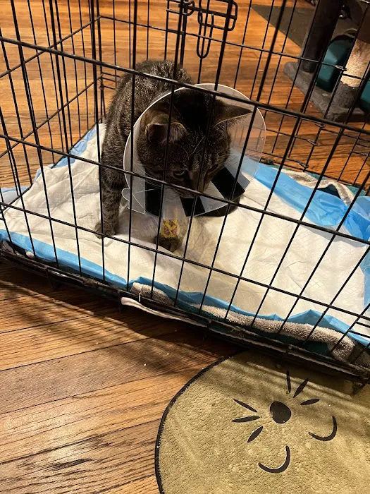 Hurley Dog and Cat Hospital Picture 8