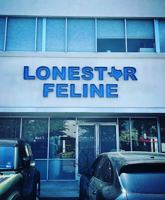 Lonestar Feline Health Center Picture 10