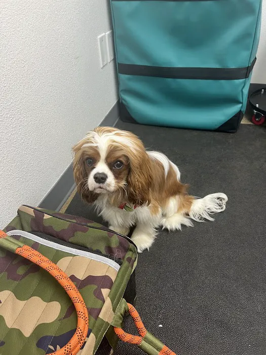 HEAL Vet Picture 3