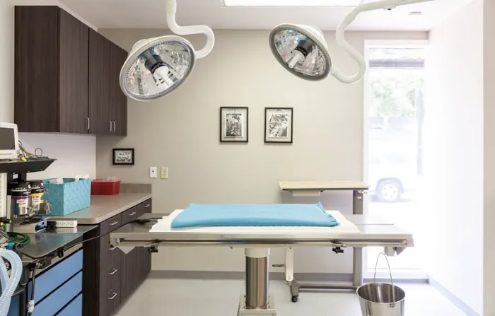 HEAL Vet Picture 1