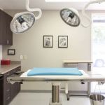 HEAL Vet