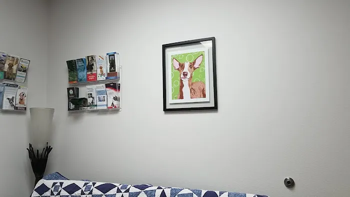 HEAL Vet Picture 9