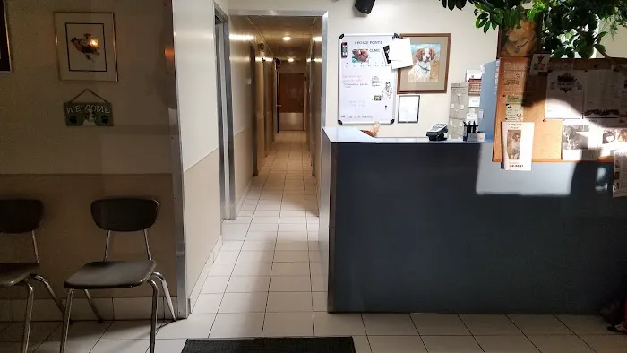 Grosse Pointe Animal Clinic Picture 5