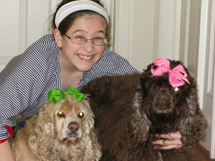 Platz Animal Hospital Picture 3