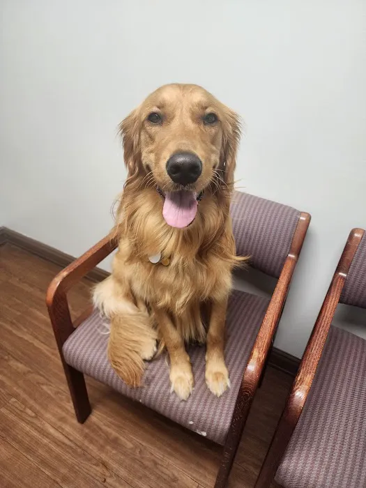 Platz Animal Hospital Picture 1