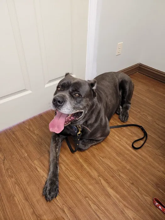 Platz Animal Hospital Picture 6