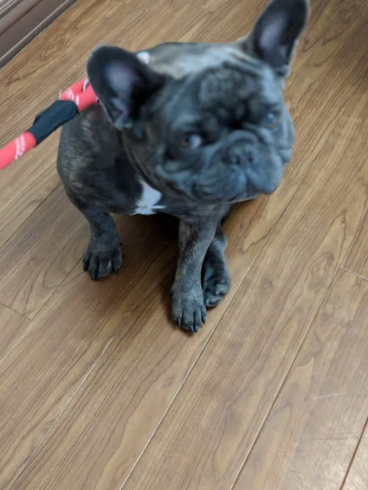 Platz Animal Hospital Picture 8