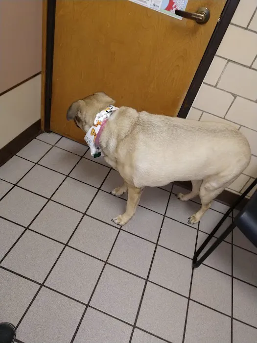Harvey Animal Hospital Picture 3