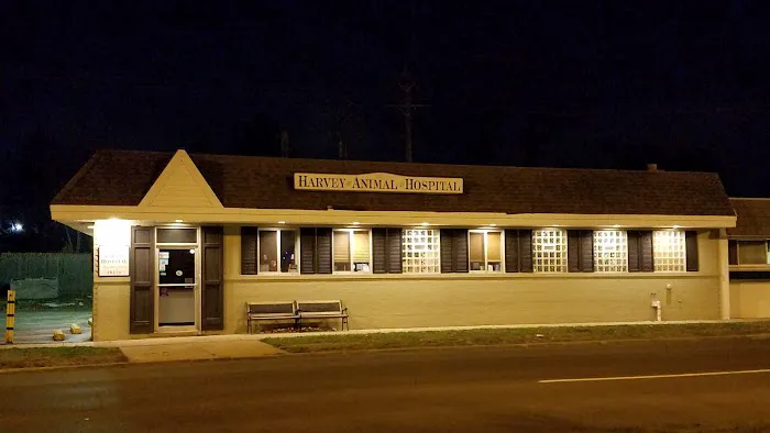 Harvey Animal Hospital Picture 5