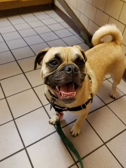 Harvey Animal Hospital Picture 10