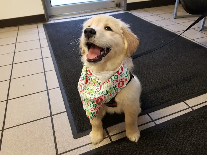 Harvey Animal Hospital Picture 7