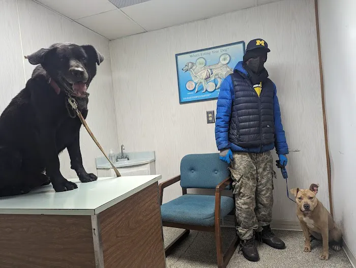 Francis Animal Hospital Picture 1