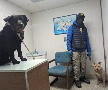 Francis Animal Hospital