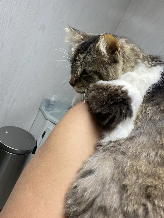 Francis Animal Hospital Picture 3