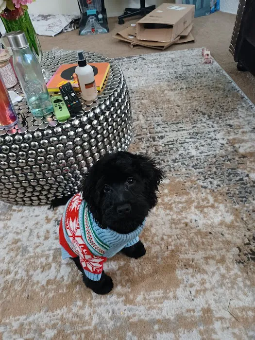 Francis Animal Hospital Picture 8