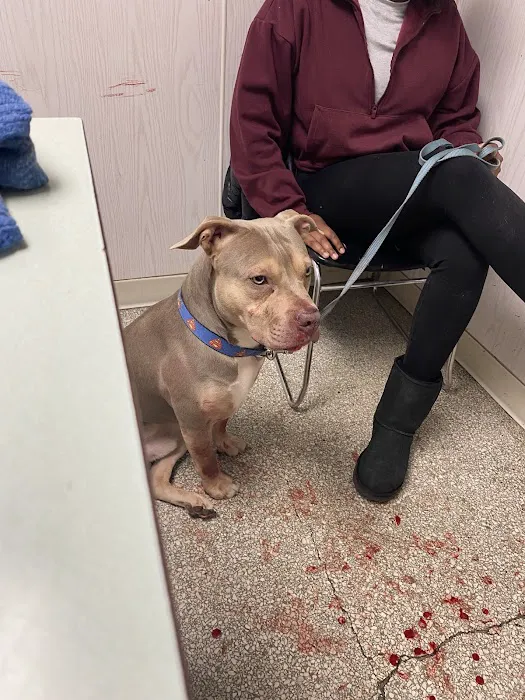 Francis Animal Hospital Picture 9