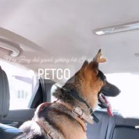 Vetco Vaccination Clinic ico