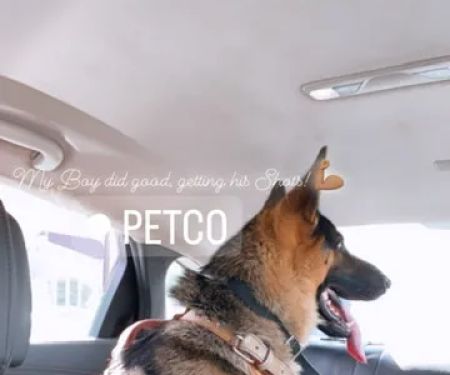 Vetco Vaccination Clinic