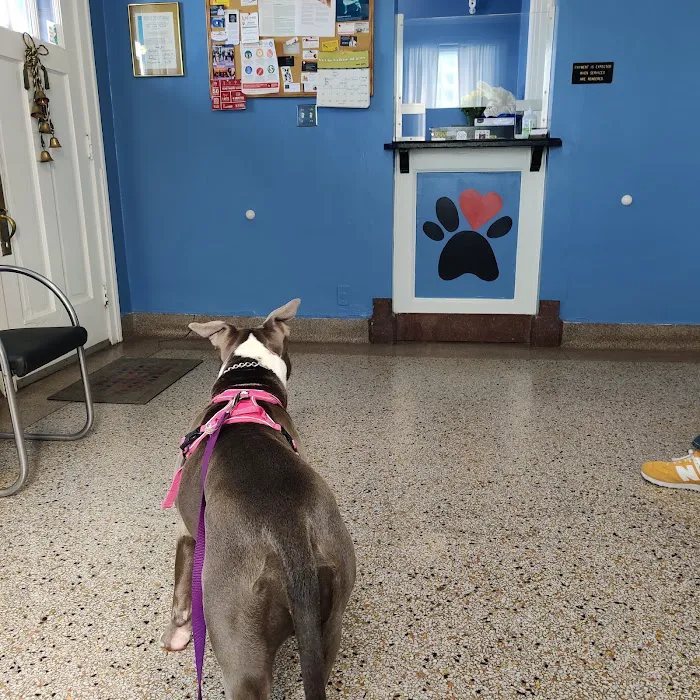 La Fond Veterinary Hospital Picture 4