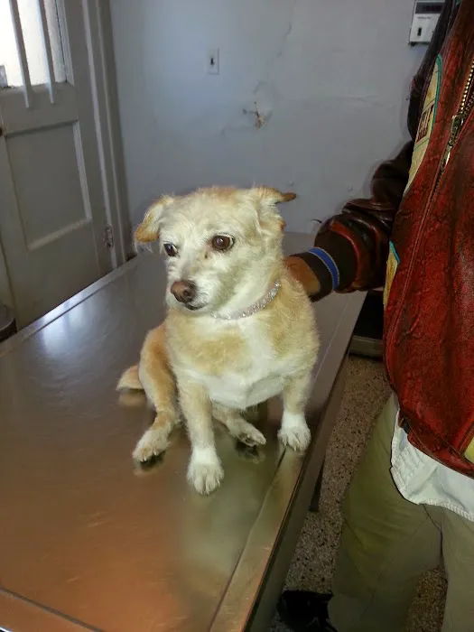 La Fond Veterinary Hospital Picture 8