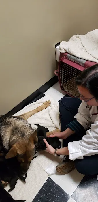 Little Friends of Ferndale Veterinary Care Picture 8