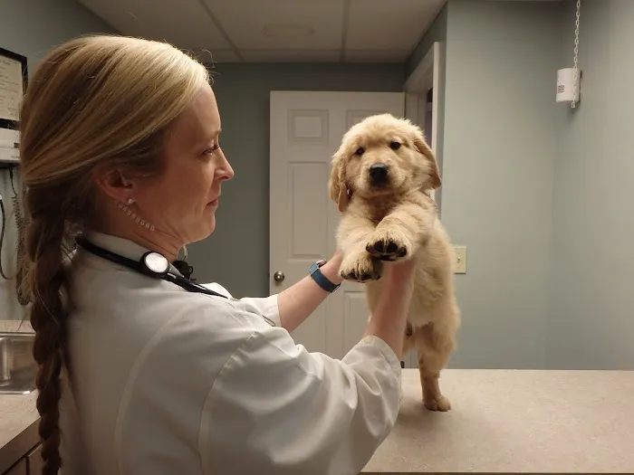 VCA Murphy Road Animal Hospital Picture 5