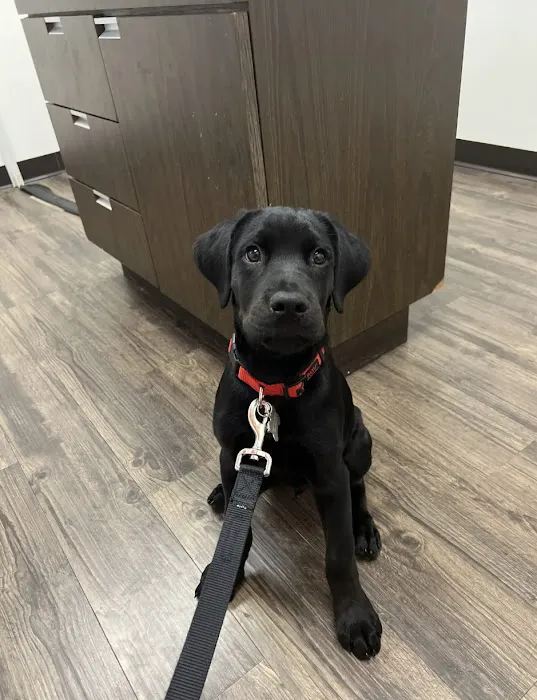 VCA Murphy Road Animal Hospital Picture 9