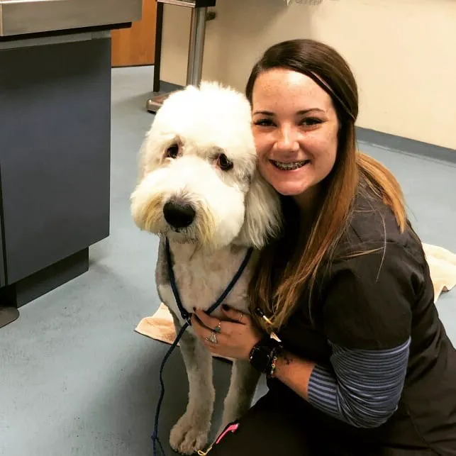 Richland Animal Clinic Picture 2